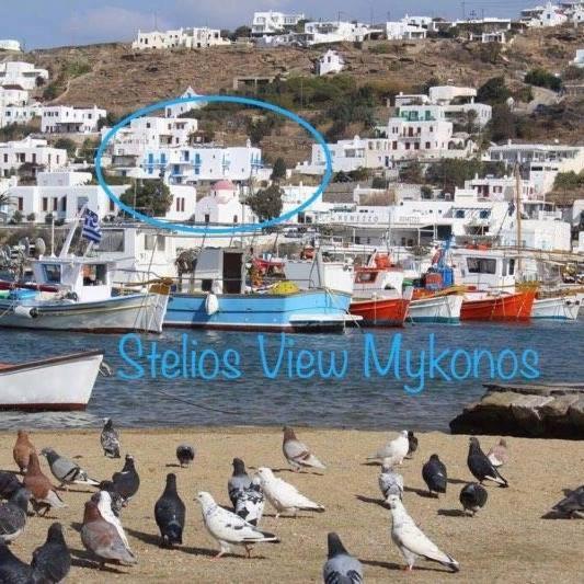 Hotel Stelios View Mykonos Town Zewnętrze zdjęcie
